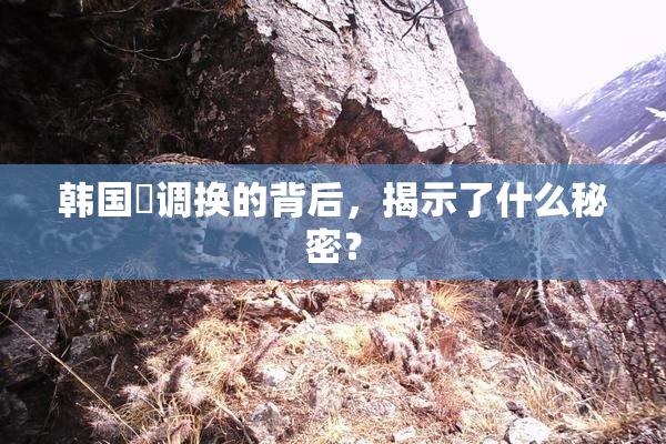韩国巜调换的背后，揭示了什么秘密？