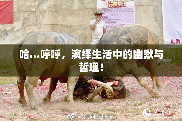 哈…哼呼，演绎生活中的幽默与哲理！