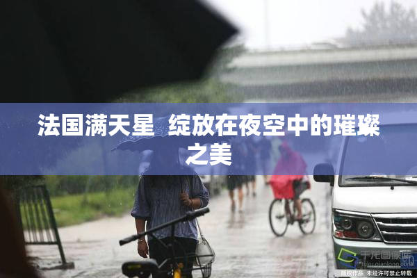法国满天星  绽放在夜空中的璀璨之美