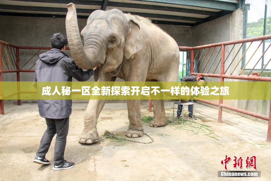 成人秘一区全新探索开启不一样的体验之旅