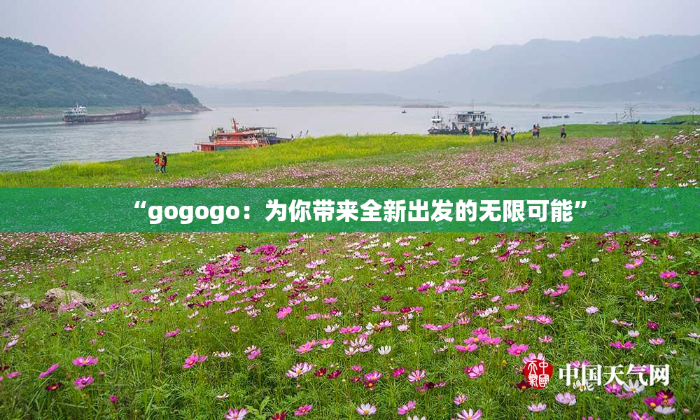 “gogogo：为你带来全新出发的无限可能”