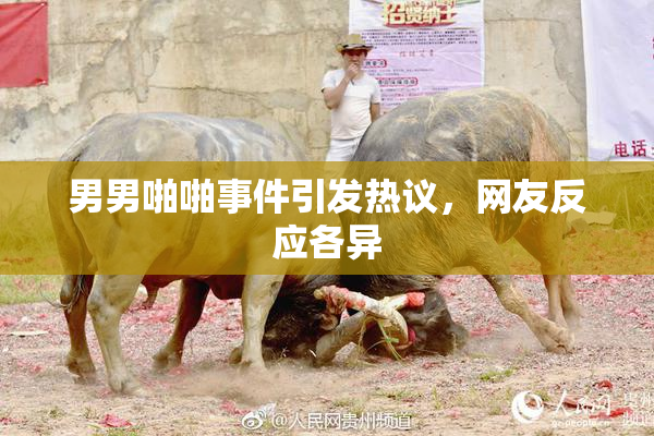 男男啪啪事件引发热议，网友反应各异