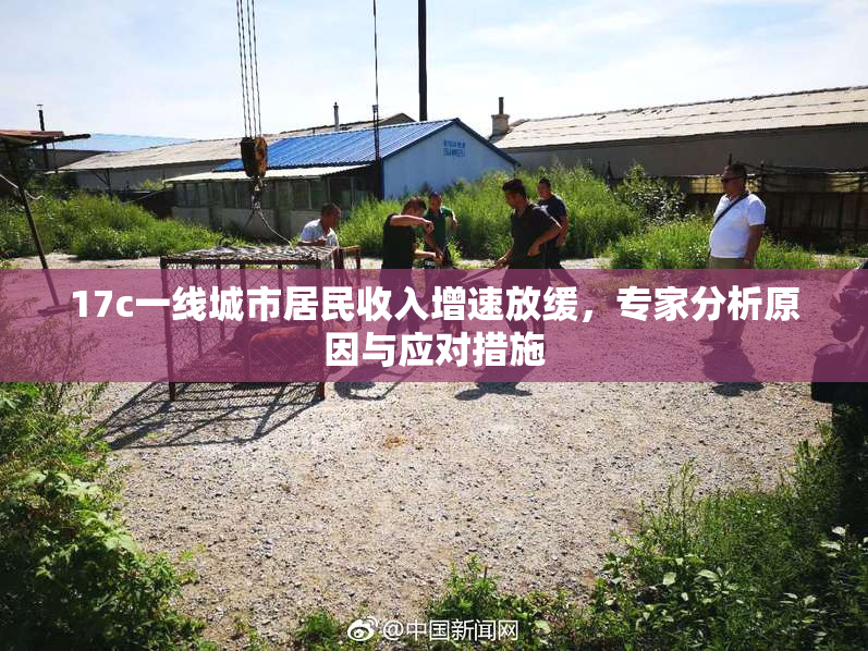 17c一线城市居民收入增速放缓，专家分析原因与应对措施