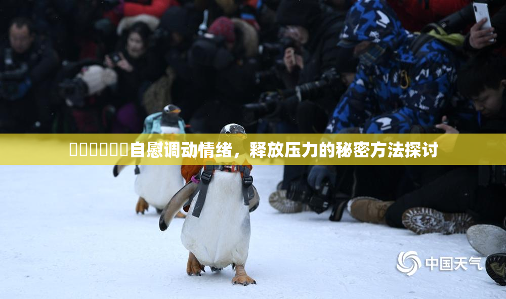 ❌‌❌‌❌‌自慰调动情绪，释放压力的秘密方法探讨