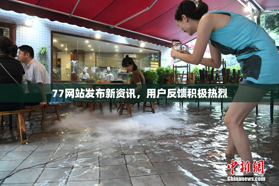 77网站发布新资讯，用户反馈积极热烈