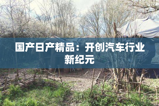 国产日产精品：开创汽车行业新纪元