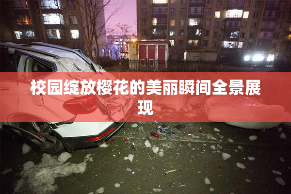 校园绽放樱花的美丽瞬间全景展现