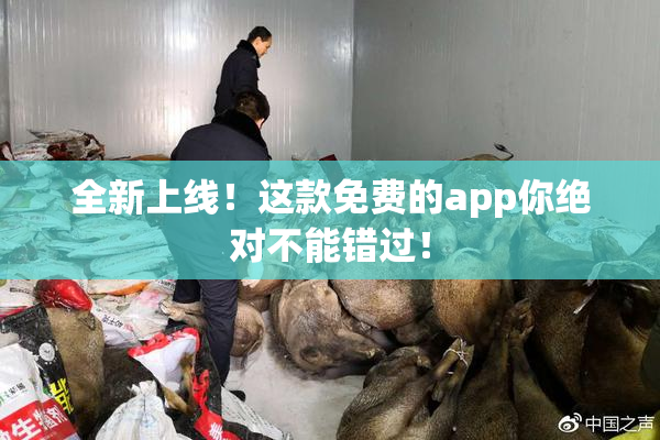 全新上线！这款免费的app你绝对不能错过！