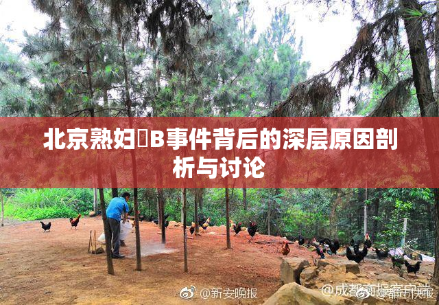 北京熟妇槡B事件背后的深层原因剖析与讨论