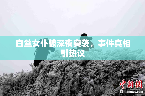 白丝女仆被深夜突袭，事件真相引热议
