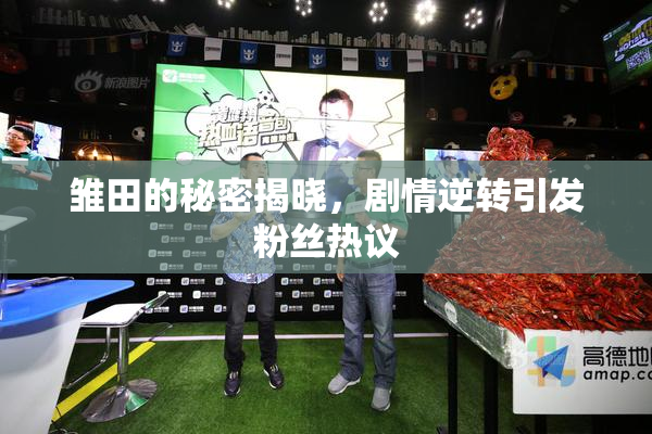雏田的秘密揭晓，剧情逆转引发粉丝热议
