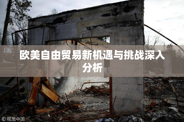 欧美自由贸易新机遇与挑战深入分析