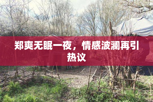 郑爽无眠一夜，情感波澜再引热议