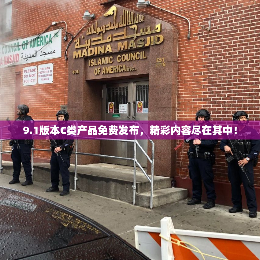 9.1版本C类产品免费发布，精彩内容尽在其中！