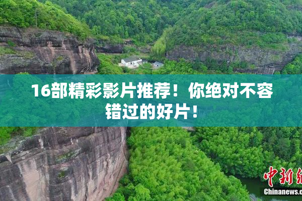 16部精彩影片推荐！你绝对不容错过的好片！