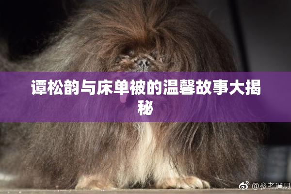 谭松韵与床单被的温馨故事大揭秘