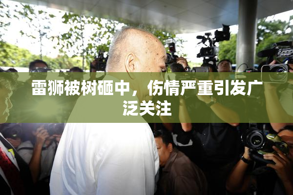 雷狮被树砸中，伤情严重引发广泛关注