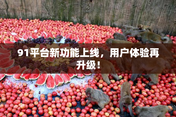 91平台新功能上线，用户体验再升级！
