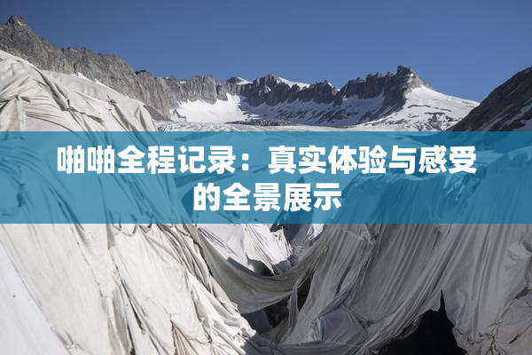 啪啪全程记录：真实体验与感受的全景展示