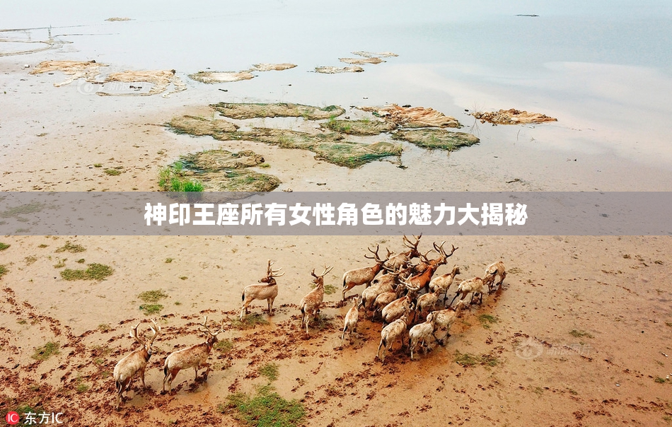 神印王座所有女性角色的魅力大揭秘