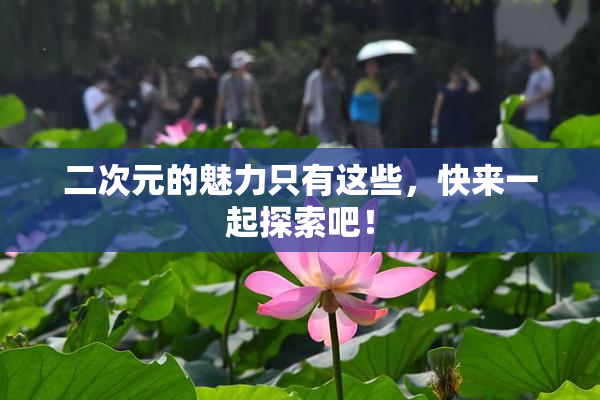 二次元的魅力只有这些，快来一起探索吧！