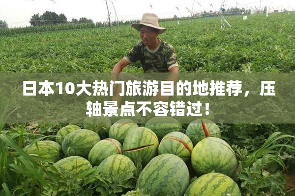日本10大热门旅游目的地推荐，压轴景点不容错过！