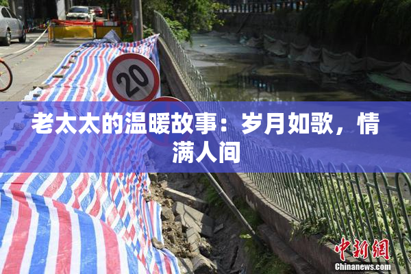 老太太的温暖故事：岁月如歌，情满人间