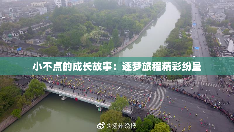 小不点的成长故事：逐梦旅程精彩纷呈