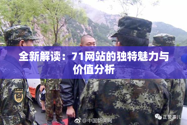 全新解读：71网站的独特魅力与价值分析