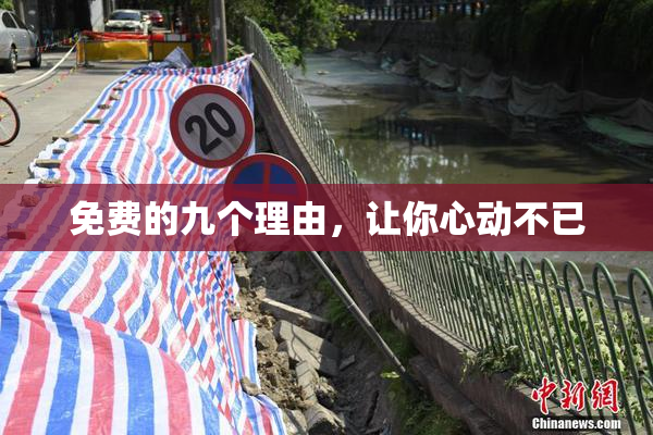 免费的九个理由，让你心动不已