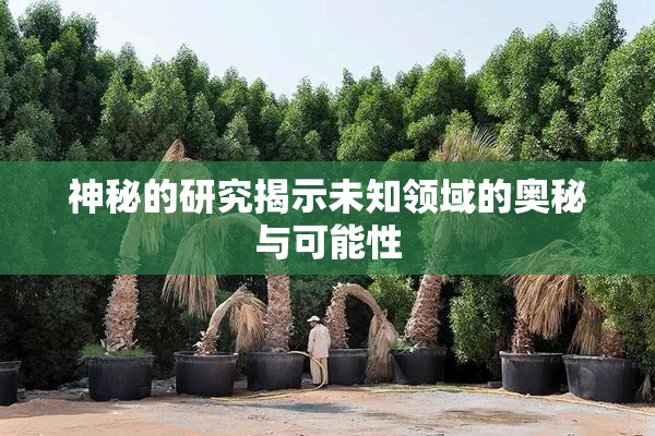 神秘的研究揭示未知领域的奥秘与可能性