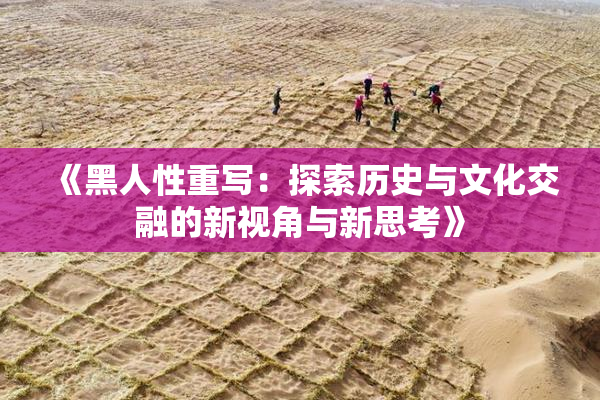 《黑人性重写：探索历史与文化交融的新视角与新思考》