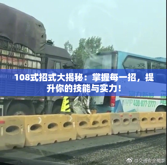 108式招式大揭秘：掌握每一招，提升你的技能与实力！