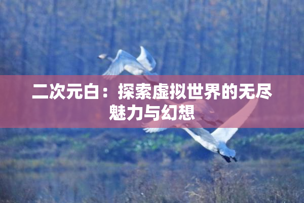 二次元白：探索虚拟世界的无尽魅力与幻想