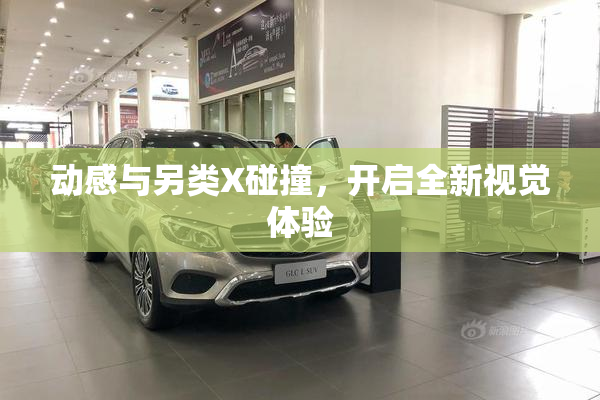 动感与另类X碰撞，开启全新视觉体验