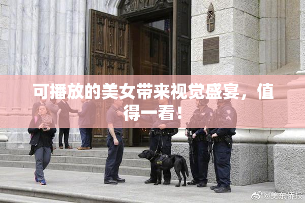 可播放的美女带来视觉盛宴，值得一看！