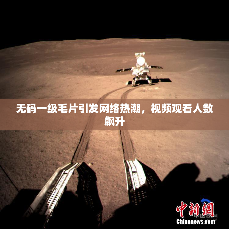 无码一级毛片引发网络热潮，视频观看人数飙升