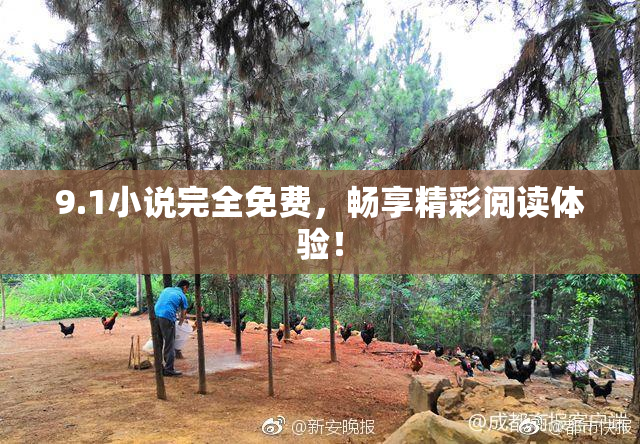 9.1小说完全免费，畅享精彩阅读体验！