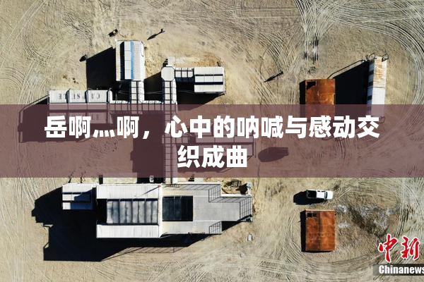 岳啊灬啊，心中的呐喊与感动交织成曲