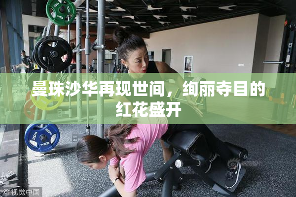 曼珠沙华再现世间，绚丽夺目的红花盛开