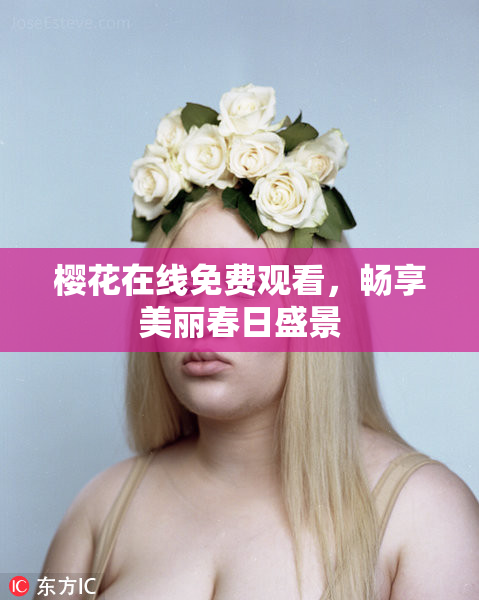樱花在线免费观看，畅享美丽春日盛景