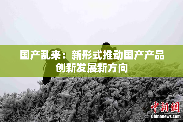 国产乱来：新形式推动国产产品创新发展新方向