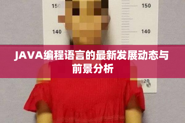 JAVA编程语言的最新发展动态与前景分析
