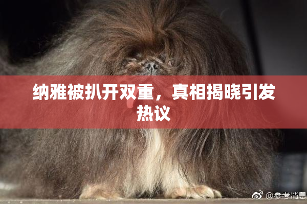 纳雅被扒开双重，真相揭晓引发热议