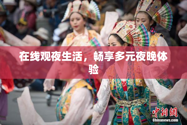 在线观夜生活，畅享多元夜晚体验