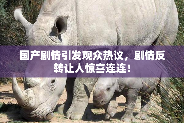 国产剧情引发观众热议，剧情反转让人惊喜连连！