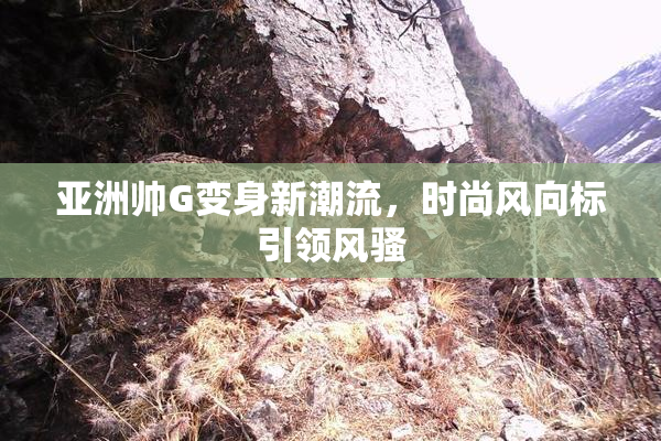 亚洲帅G变身新潮流，时尚风向标引领风骚
