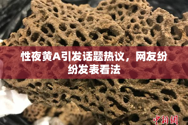 性夜黄A引发话题热议，网友纷纷发表看法