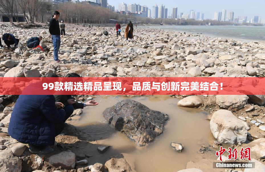 99款精选精品呈现，品质与创新完美结合！