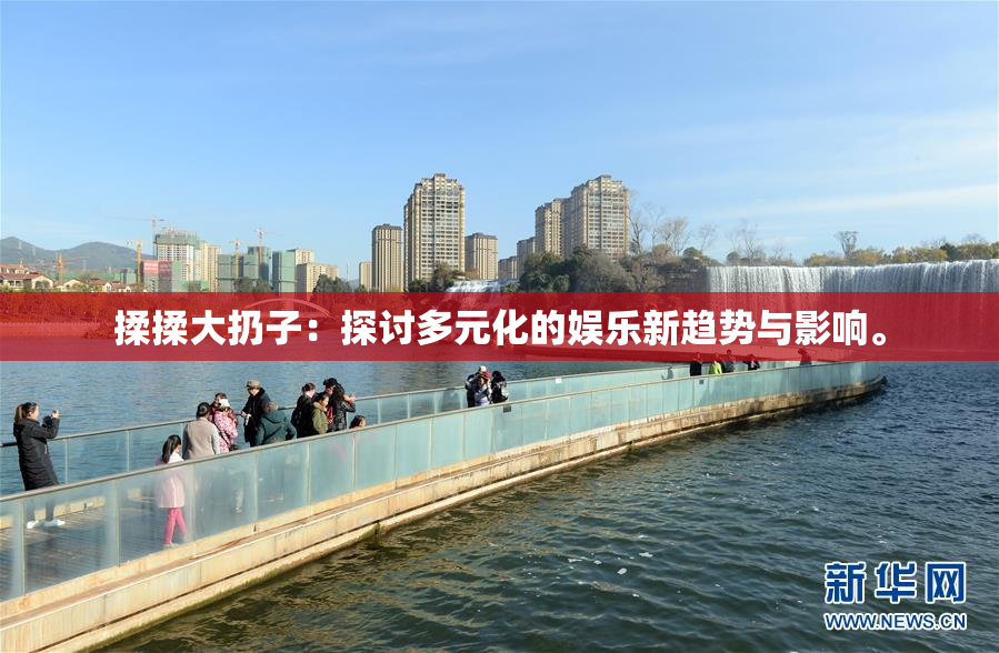 揉揉大扔子：探讨多元化的娱乐新趋势与影响。